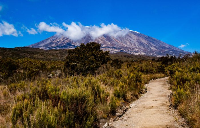 Machame Rote Mt Kilimanjaro